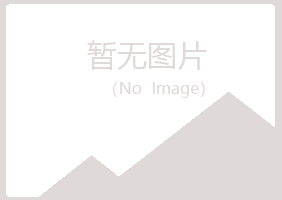 安图县听露建设有限公司